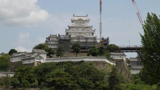 6月の姫路城天守閣　修復工事用構造物の撤去も進んでいます。
