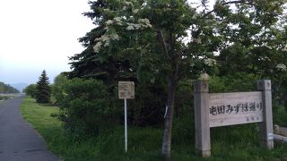 創成川に繋がっている