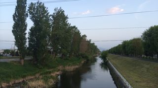 沿道には飲食店が立ち並ぶ