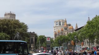 本数がとても多いです