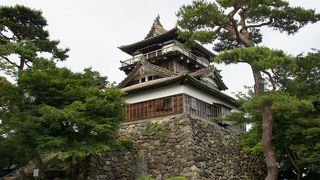 丸岡城で涙する