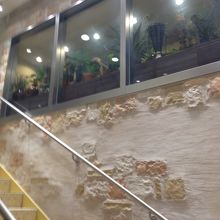 清潔感がありキレイ。