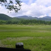 ラムサール条約で保護されている湿地