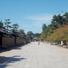 東大門から西門まで続く子院が立ち並ぶ参道の景観。