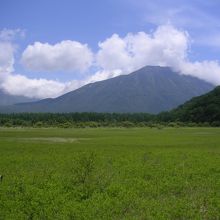 小田代ヶ原