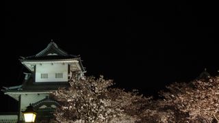 金沢城の夜桜♪