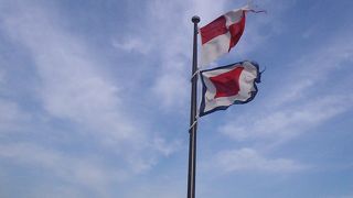 ジブリファン必見