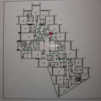 複雑な形をしている