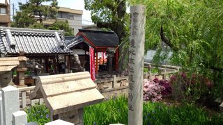 カキツバタがきれいな神社です。