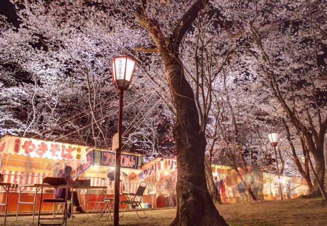 宮川堤 クチコミ アクセス 営業時間 伊勢神宮 フォートラベル
