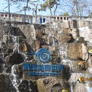 水中散歩式の水族館