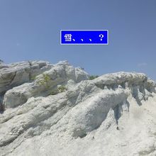 まるで、雪のよう、、、季節が違えば、雪と勘違いです