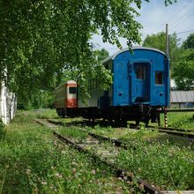 青い客車は無料の宿泊施設になっています。