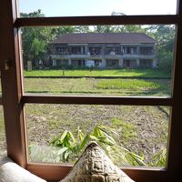 稲刈り後だったのが残念。向いはコマネカホテル。