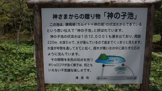 すばらしい色合い