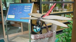 自然って良いな～