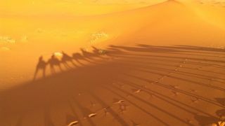 想像していたよりでっかい砂漠