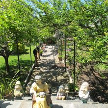 通りの家の前庭