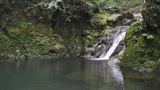 大阪から車で2時間、滝のマイナスイオンを浴びに