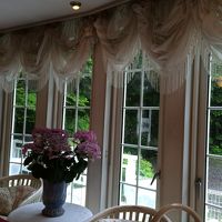 ル ヴィオロン 写真