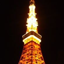 夜景は素敵でした