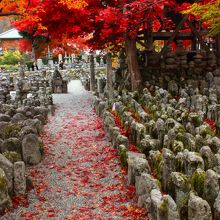 2010/11/23　化野念仏寺の紅葉