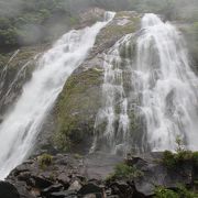 滝壺近くまで行ける屋久島の大瀑布
