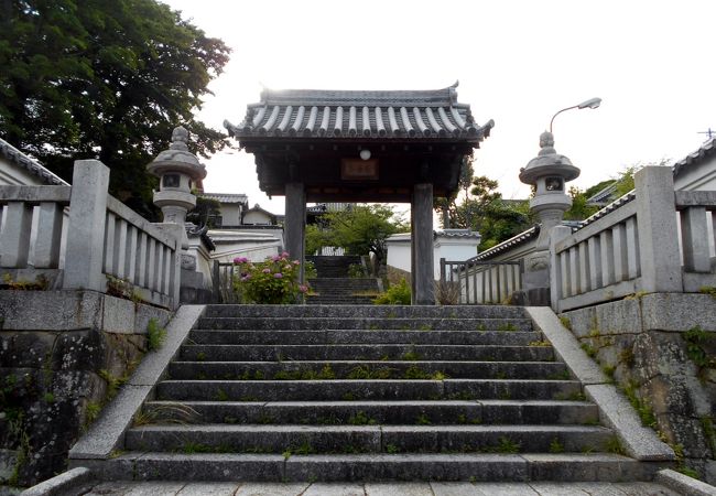 東浦町緒川にある紫陽花参道の見事なお寺です。