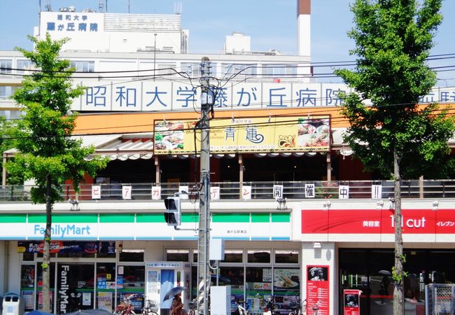 ペットと一緒に食事の出来る中華料理店