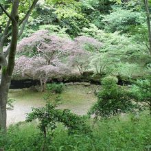 赤坂山公園