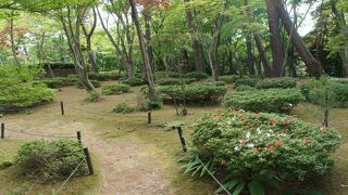 山なのに、部分的には平地のような。不思議な感覚です