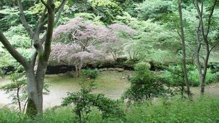 赤坂山公園