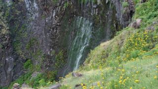 フレペの滝で鹿に出会った