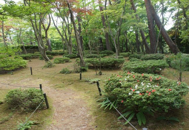 山なのに、部分的には平地のような。不思議な感覚です