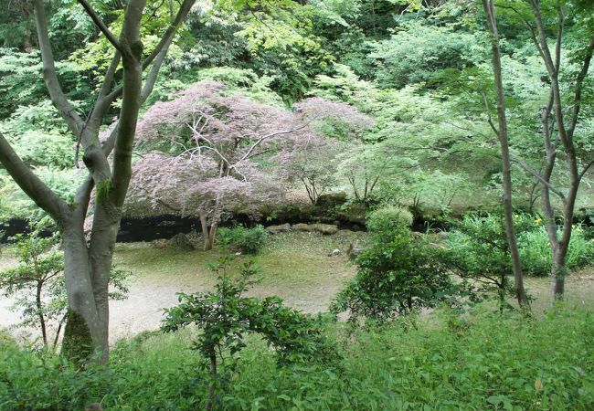 赤坂山公園 クチコミ アクセス 営業時間 柏崎 鯨波海岸 フォートラベル 赤坂山公園 クチコミ アクセス 営業時間 柏崎 鯨波海岸 フォートラベル