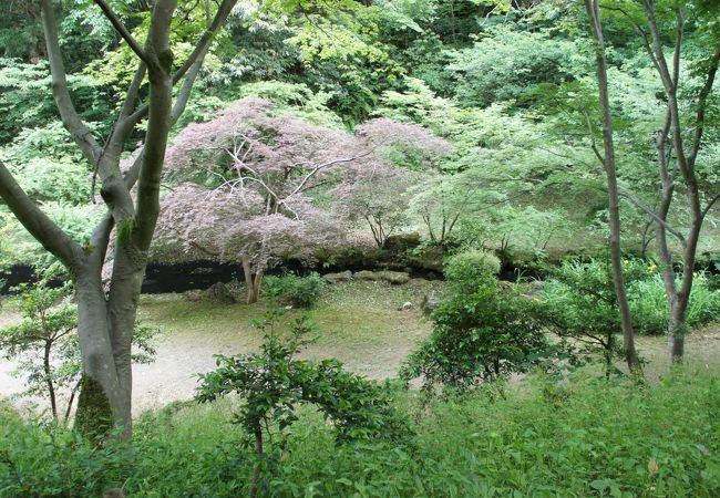 渓谷に沿って登る道はちょっとしたハイキングコースのような感じ