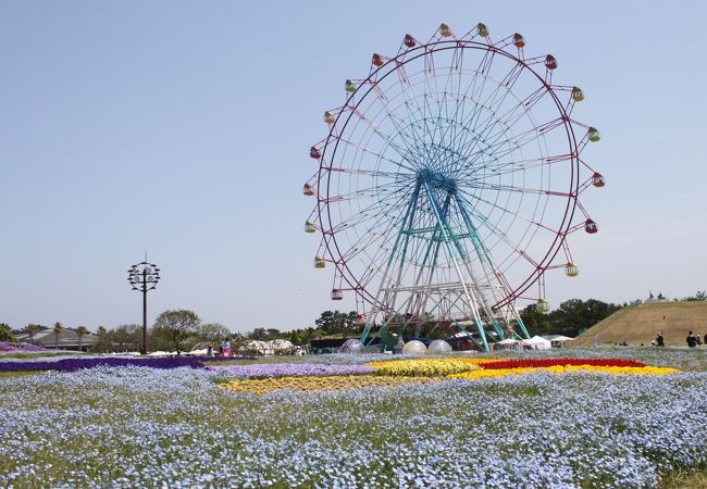 海の中道海浜公園