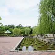 のどかな都市型公園ですが