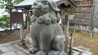 願懸け高麗犬