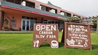 地元の食材をワンプレートで
