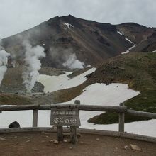 看板が無ければ池とはわかりません
