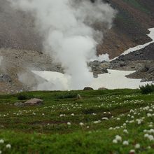 高山植物と噴煙と岩石。凝縮された眺めです。