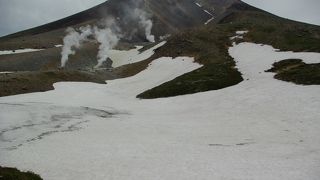 姿が映るのはほんの２～３ヶ月。それだけに貴重・・・