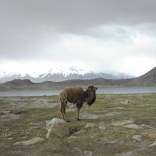 カラクリ湖　2/3