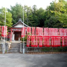 社殿を取り囲む無数の赤い幟。