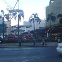 アヤラには、交通量の多い道路を渡って行きます。