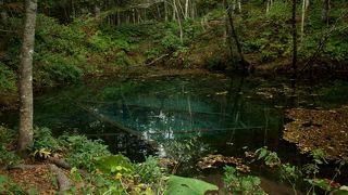 神秘の池いつまでも・・・♪