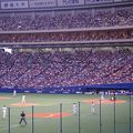 ナゴヤドームで野球観戦