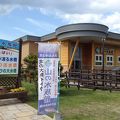 コンパクトながら工夫のされた水族館