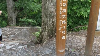 自然の野外博物館